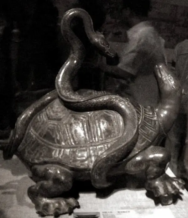 Une tortue-serpent en bronze