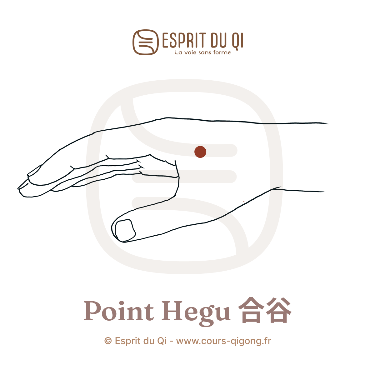 hegu 12 points miraculeux - Esprit du Qi