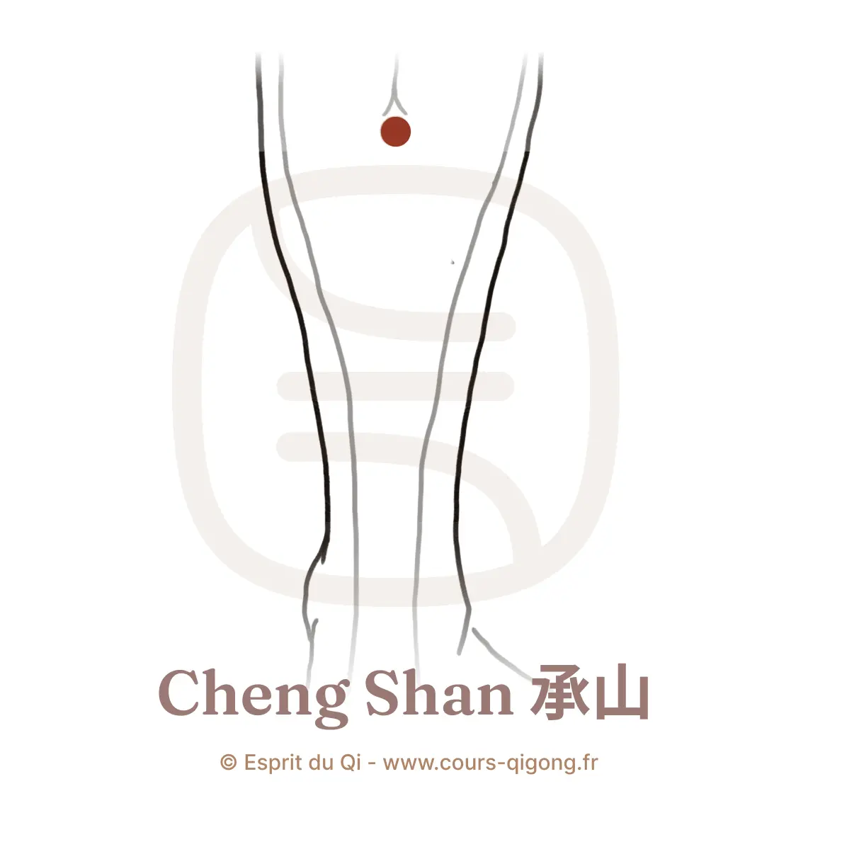 Cheng Shan 12 points miraculeux - Esprit du Qi