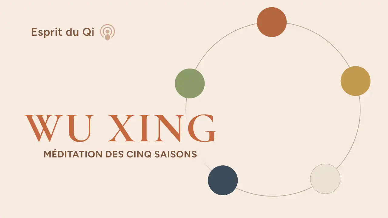 Couverture WU XING : méditation guidée des cinq saisons, silhouette en méditation et anneau des cinq éléments, Esprit du Qi