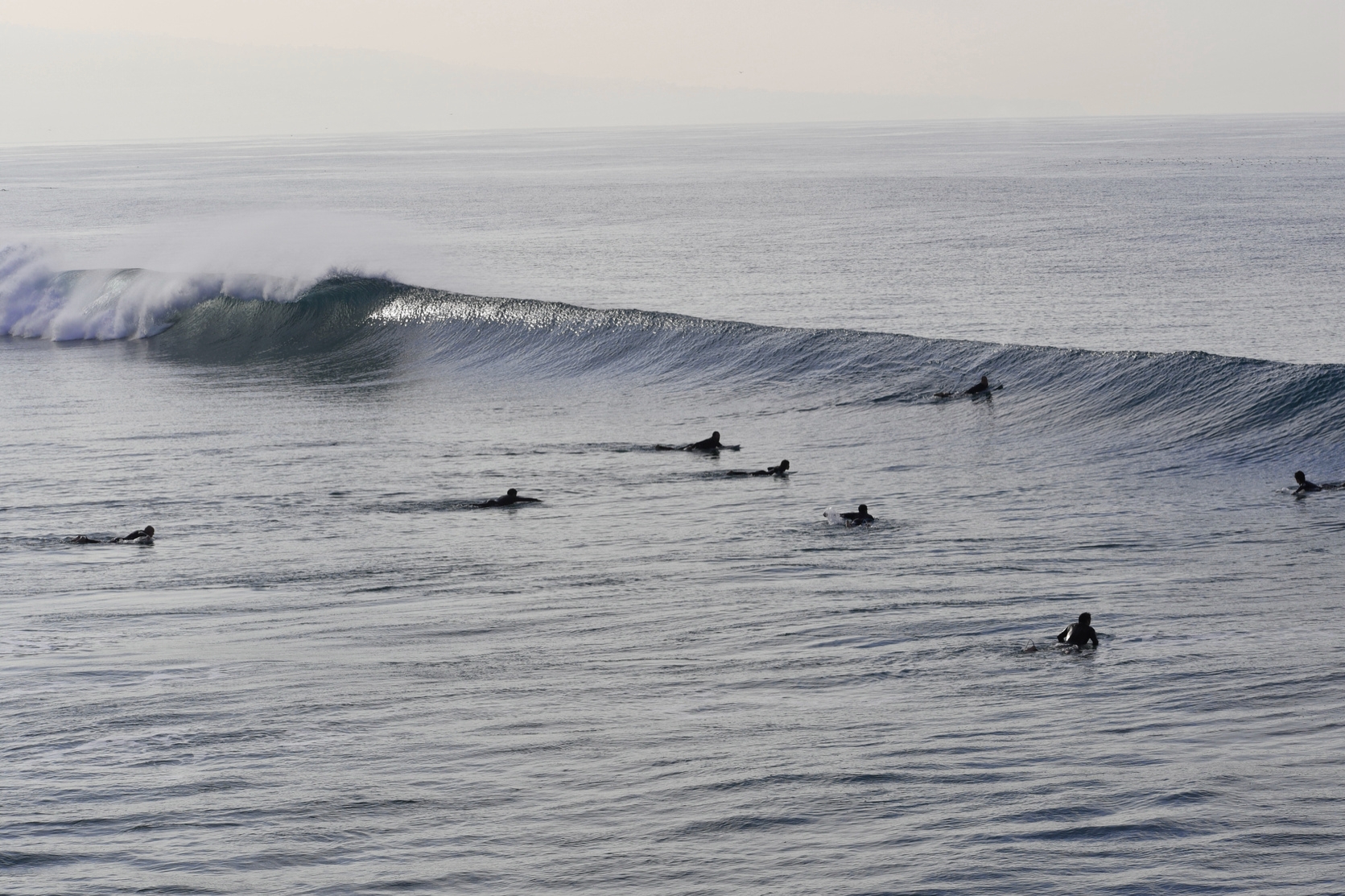 Ride Your Wave