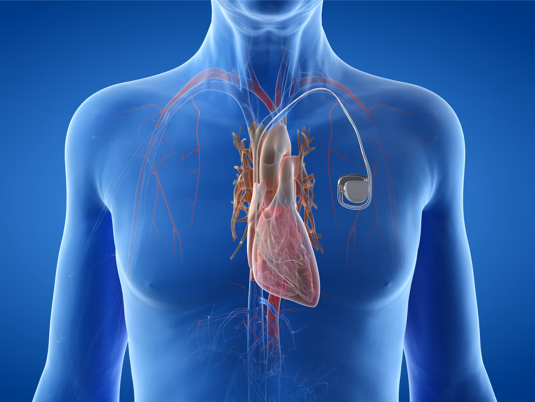 A medical illustration of the heart and stethoscope.