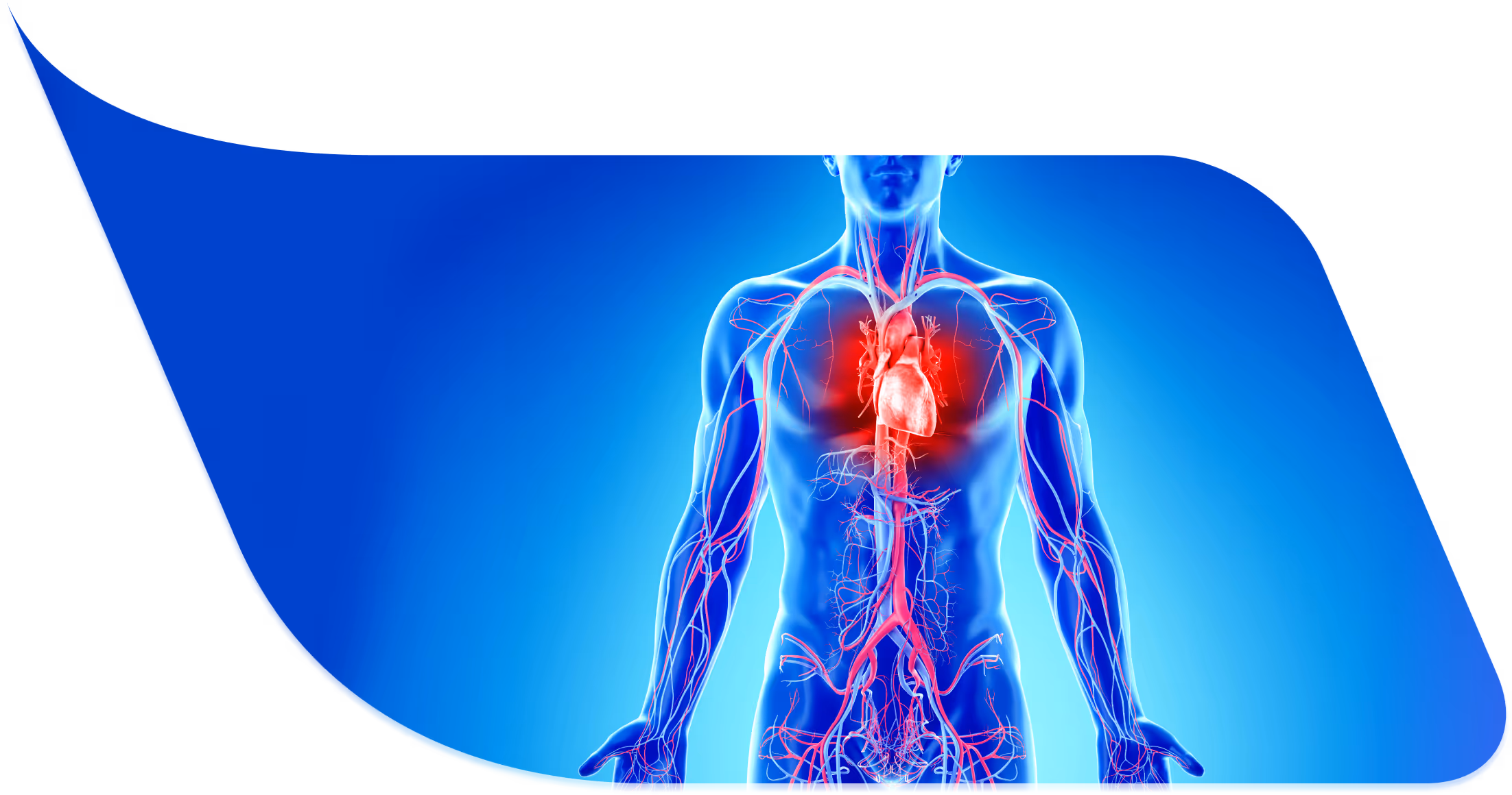 A picture of a person with a heart in the middle of their body.