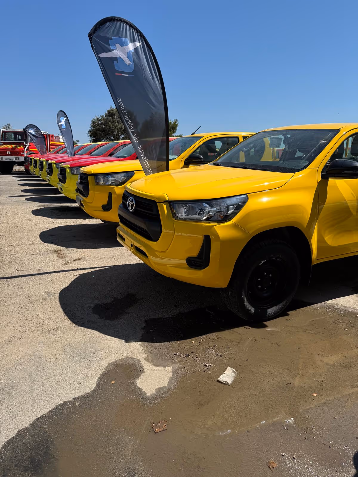 Technamm yellow civilian vehicles lined up outside.