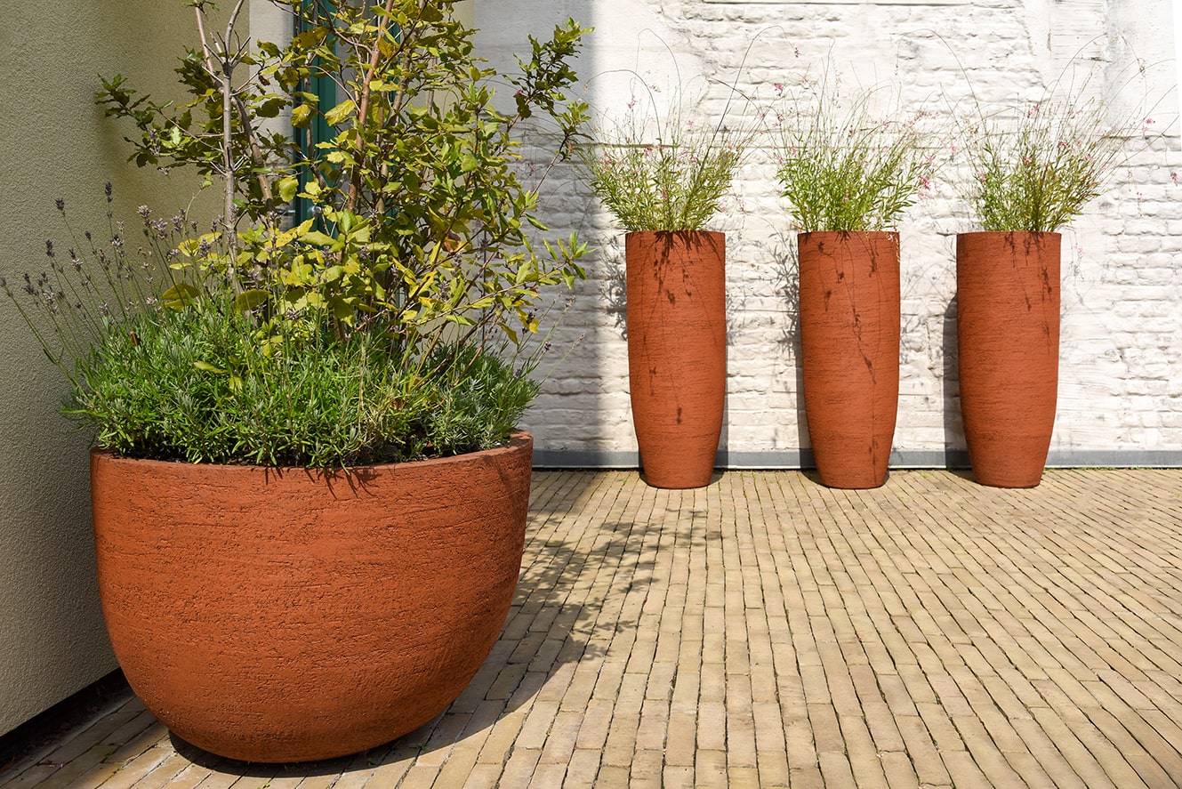 Vier grote terracotta plantenbakken op een betegelde buitenruimte, waarvan één met diverse groene planten en drie met hoge grassige planten tegen een witte bakstenen muur.