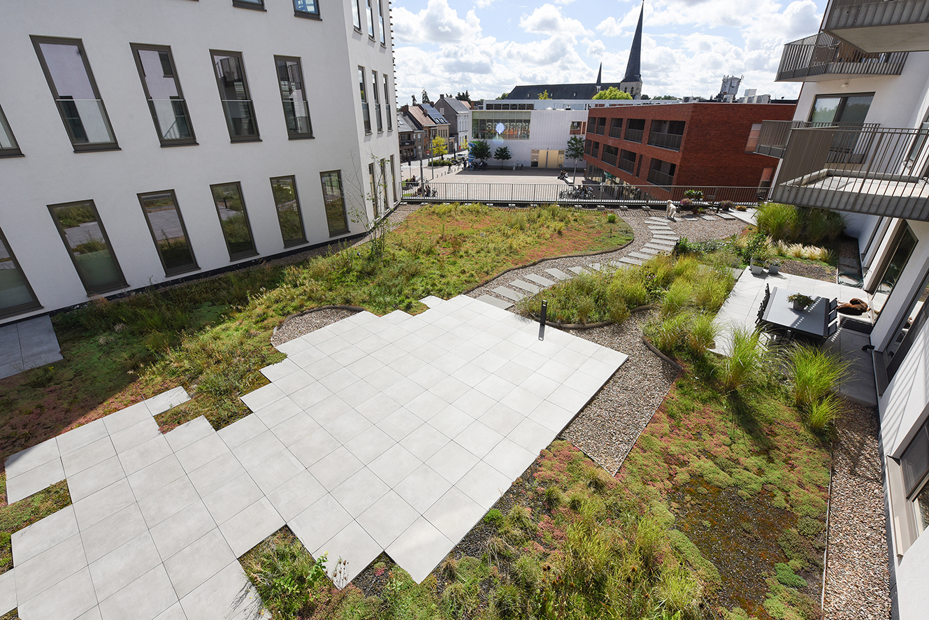 Groen dak met grindpaden en een betegeld terras tussen moderne witte en bakstenen gebouwen in een stedelijke omgeving.