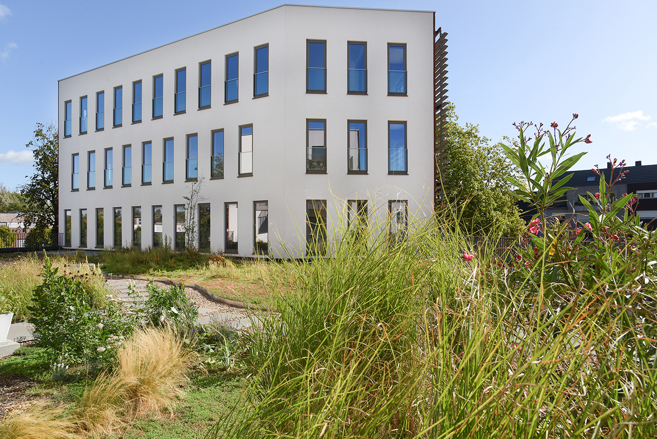 Modern wit gebouw met grote ramen, omgeven door een tuin met lang gras en bloemen onder een blauwe lucht.