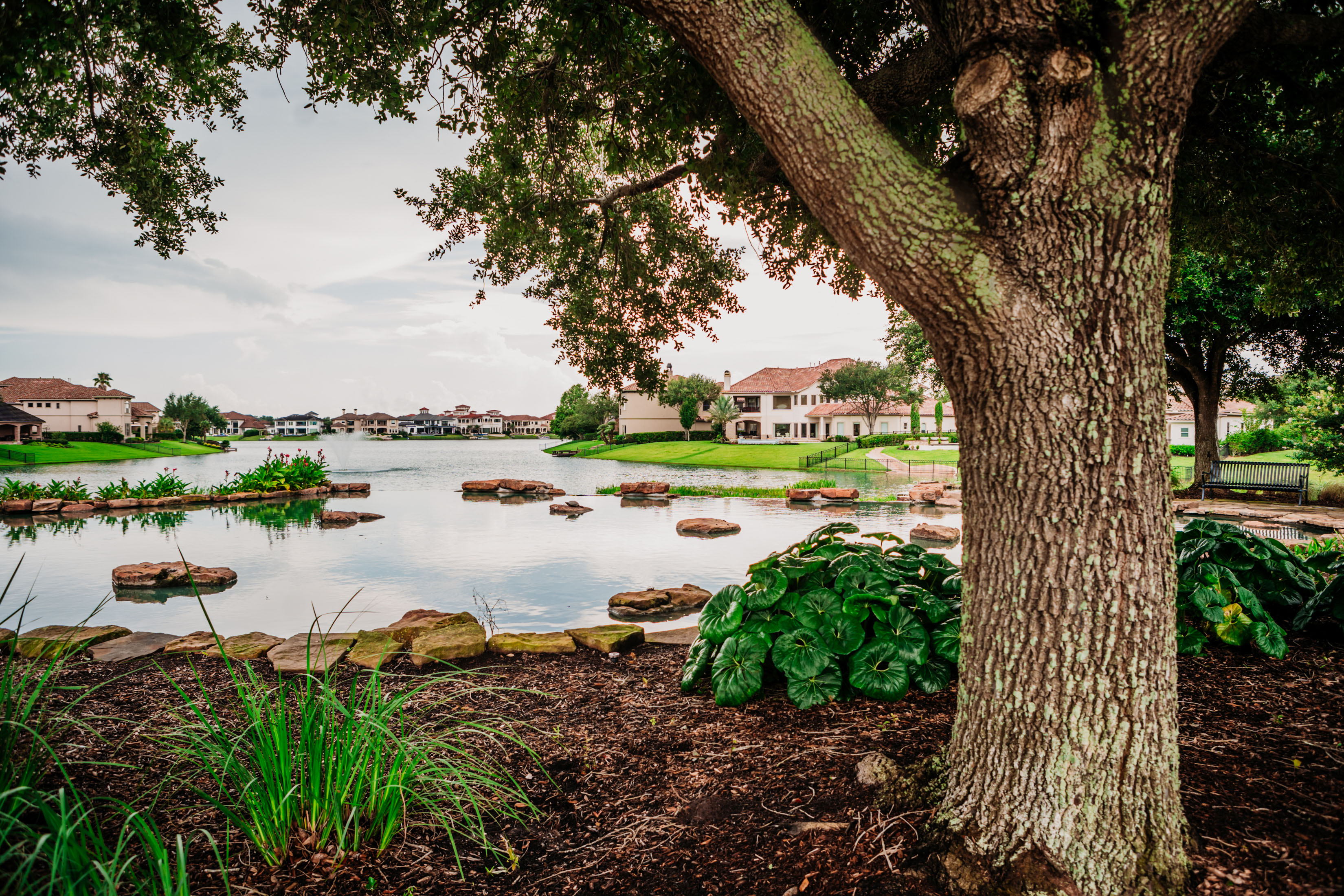 View of the pond