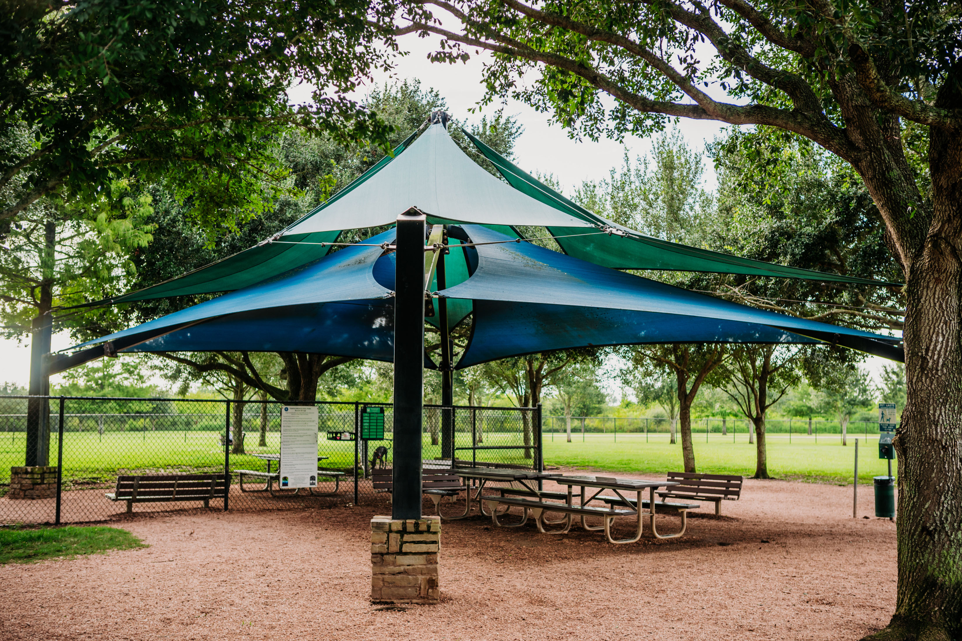 Outdoor Seating with Shade Structure at the Pawms Spring Dog Park