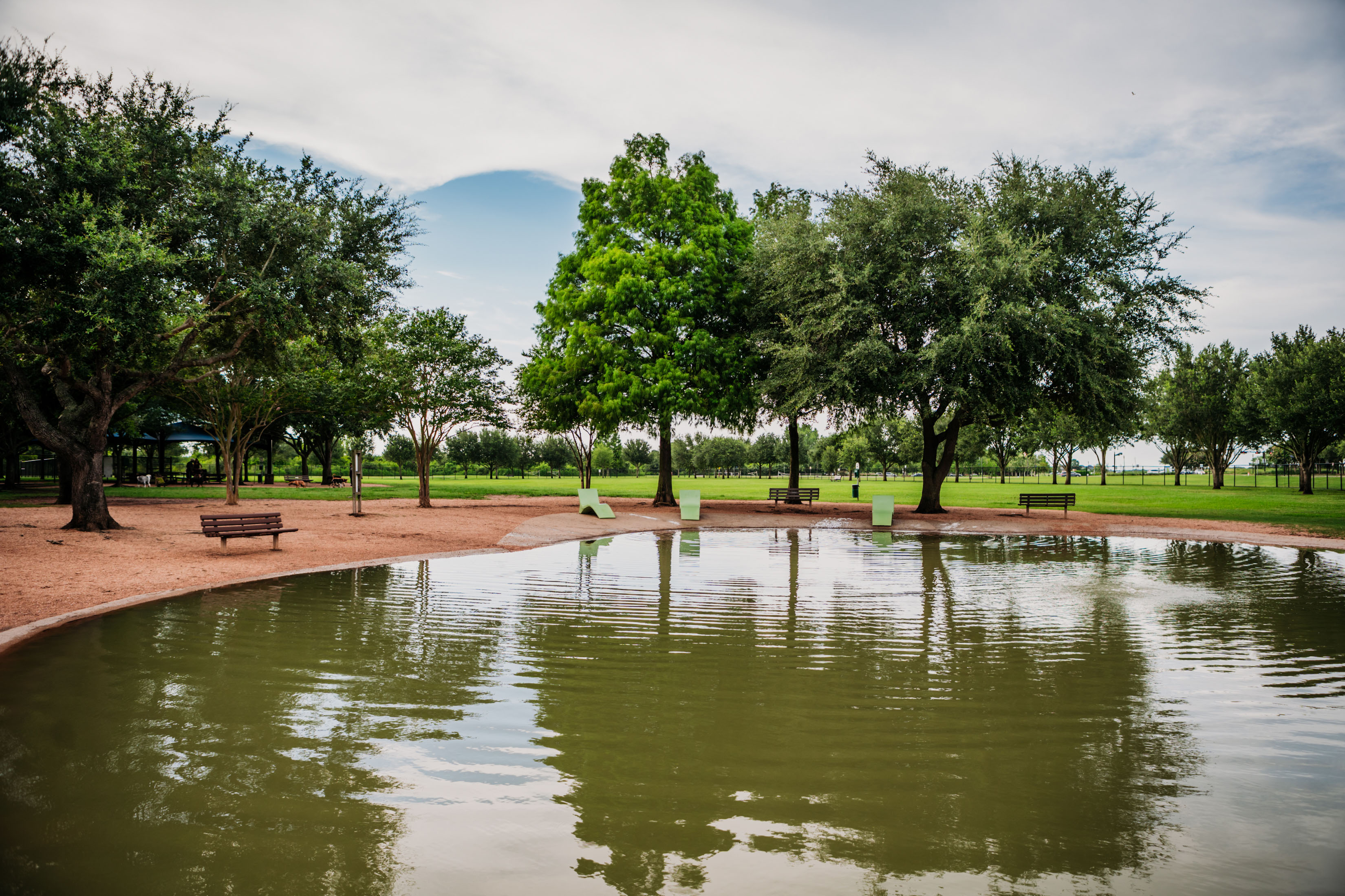 Swimming Pond at Pawm Springs Dog Park