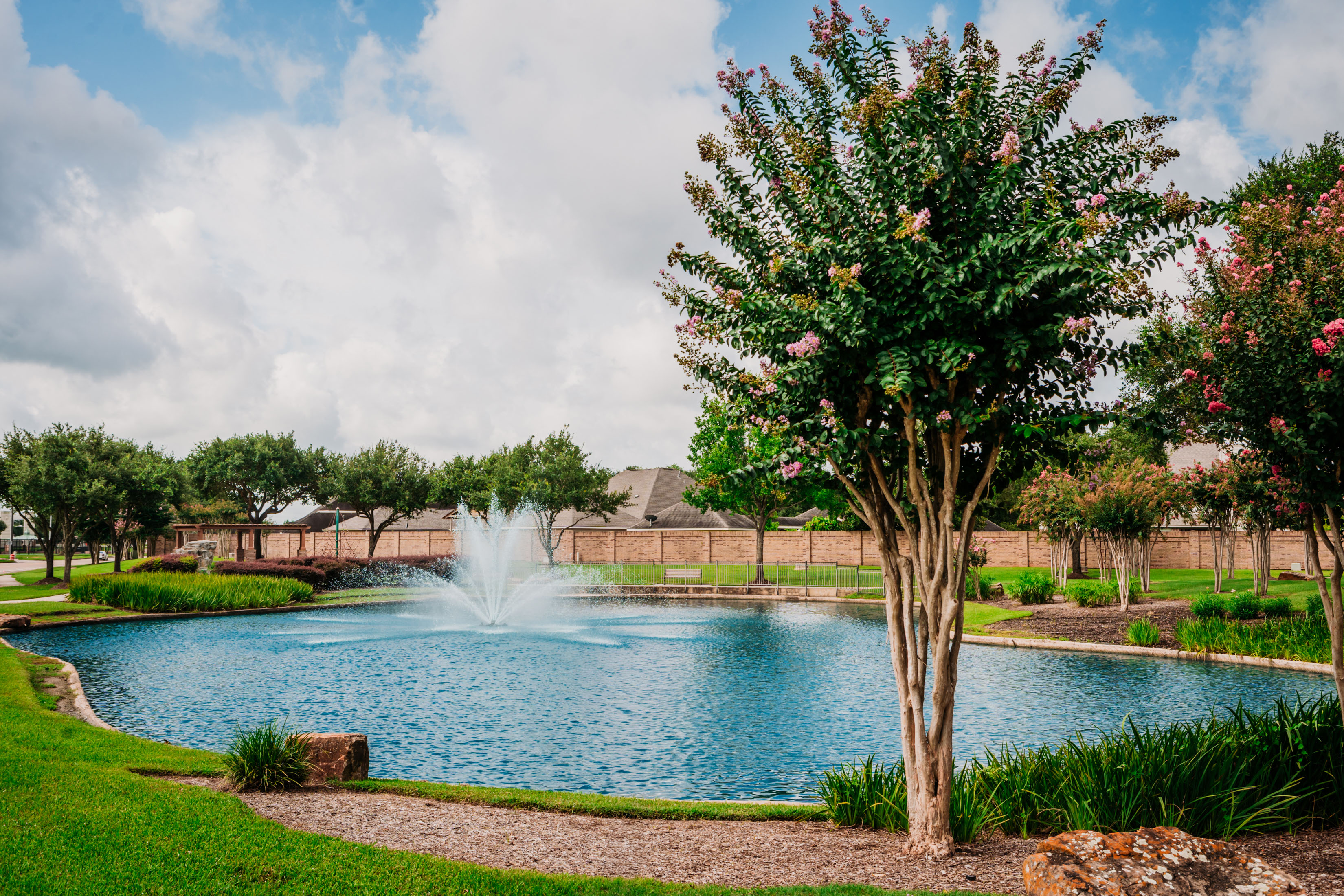 Another view of the Water Feature integrated in the Passive Park