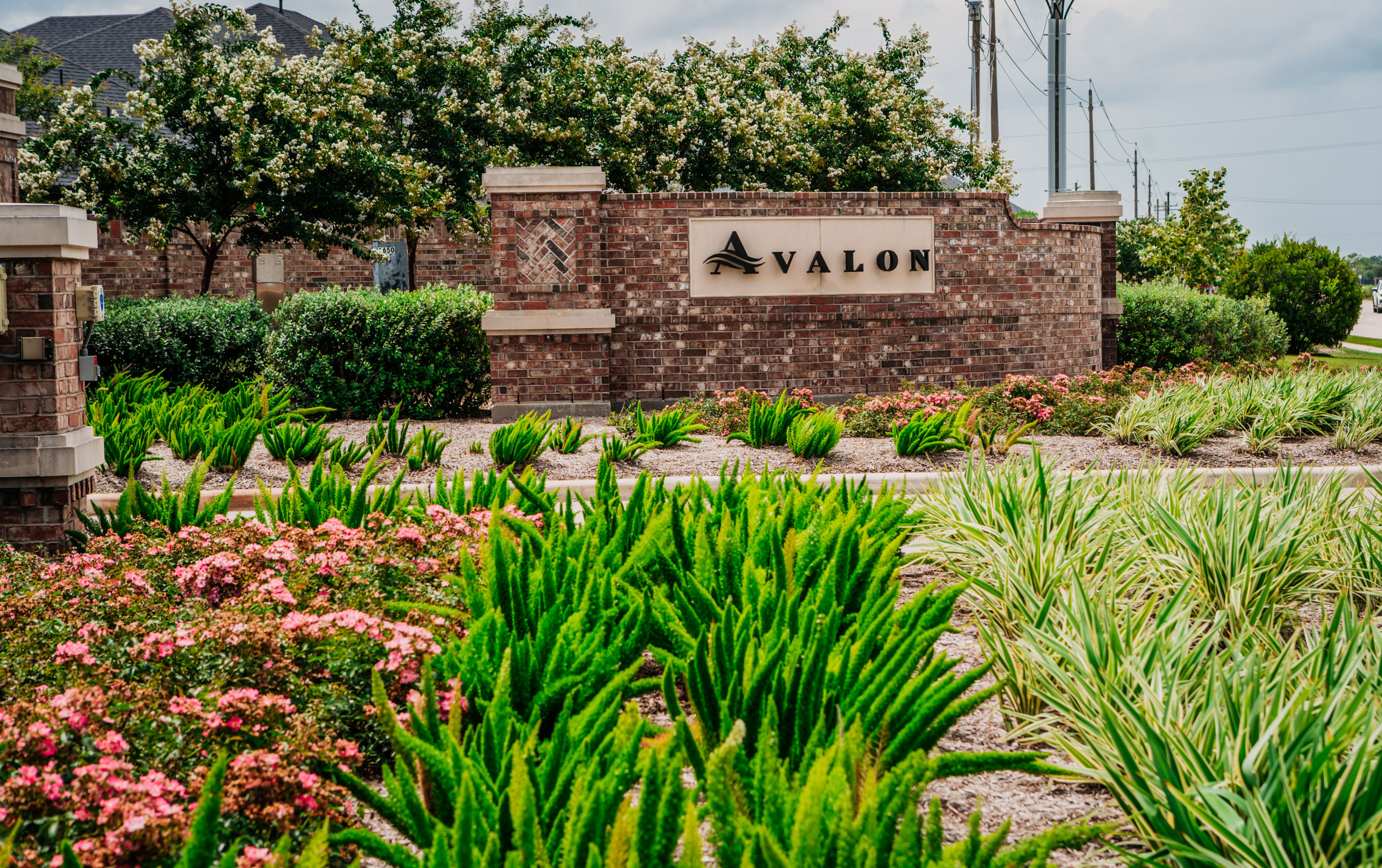 Create an inviting welcome to any community wih colorful softscape features