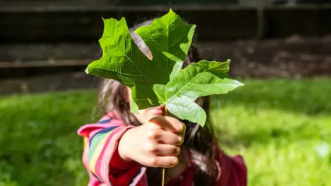 Klimawandel