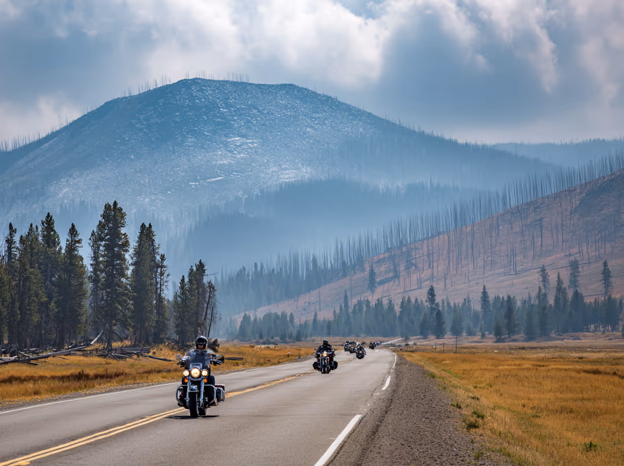 An illustration of a mountain at sunset with mist rolling through the trees