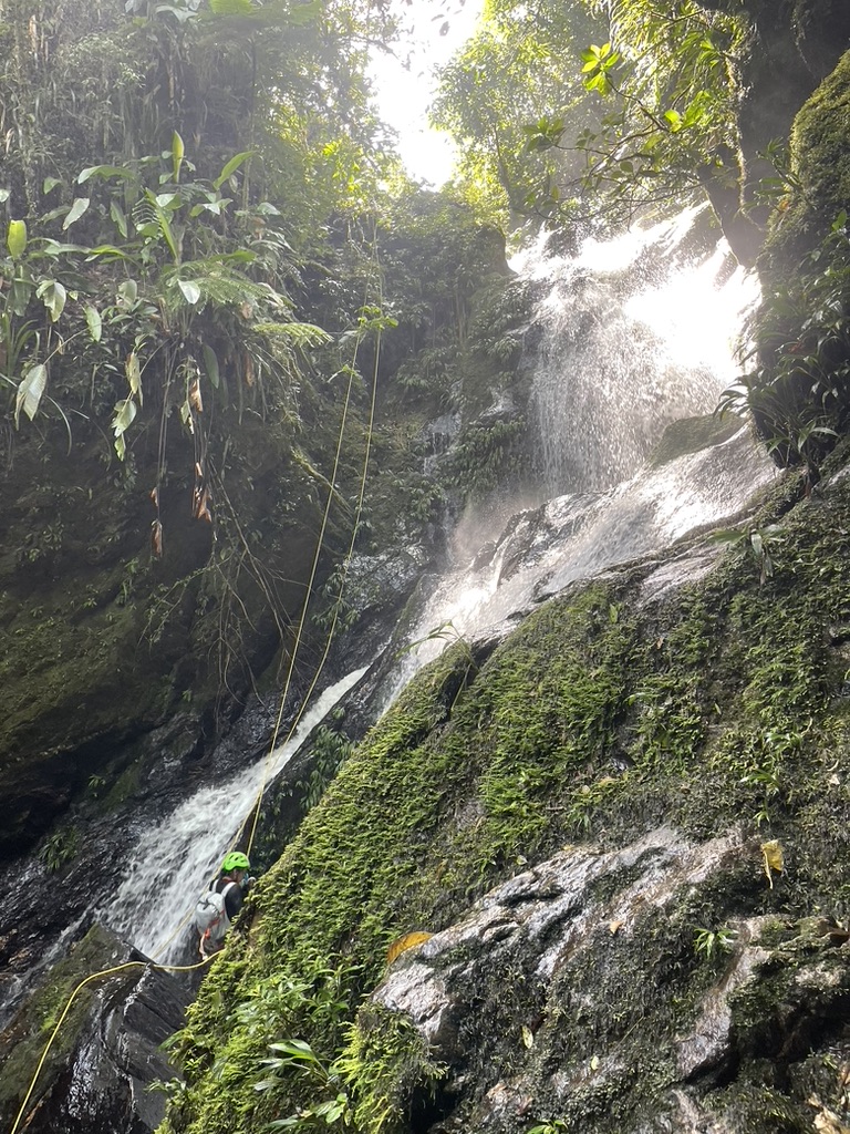 A Fundación Magnolios team member descending a waterfall by rope while surveying the cloud-forest canyon
