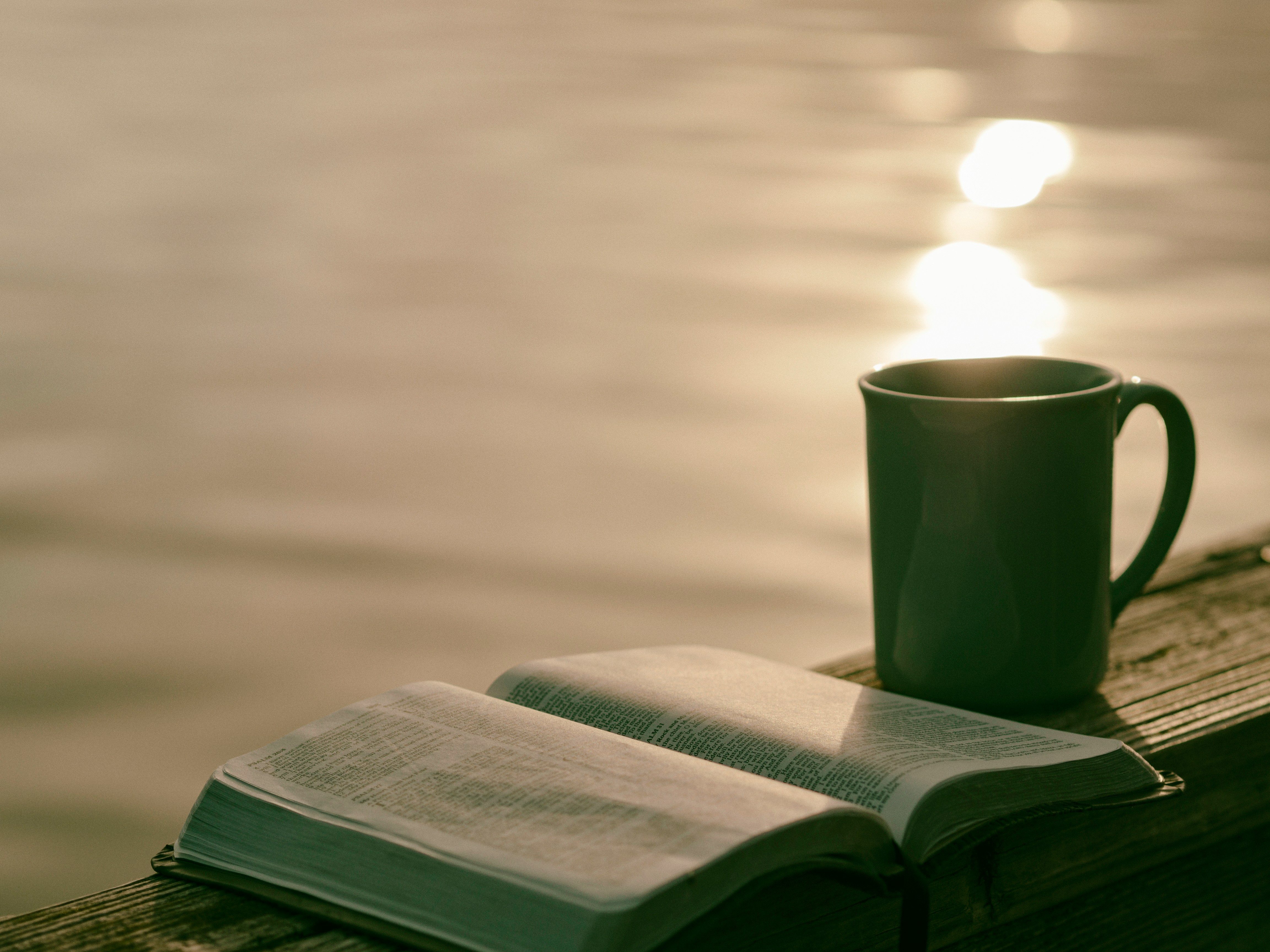 Sunrock Late Summer Reading List