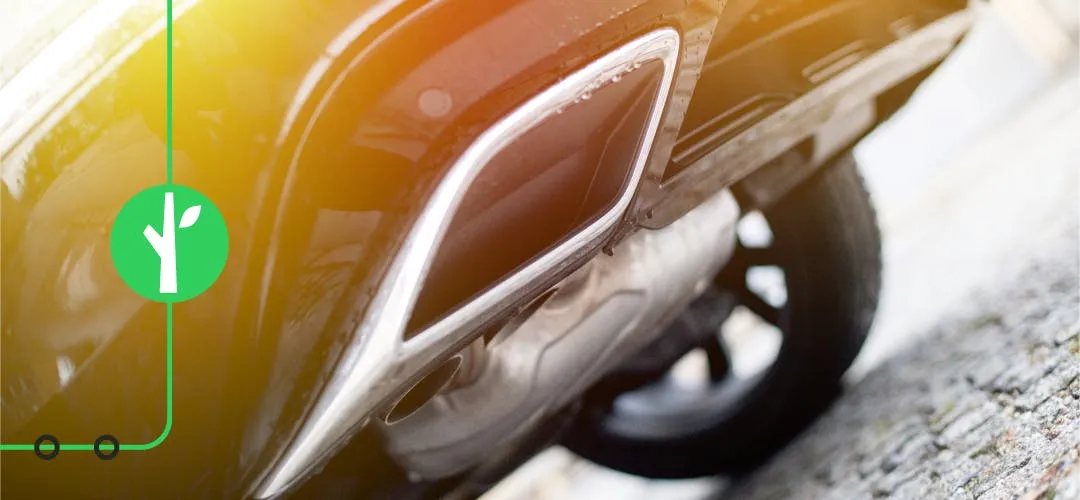 lpr camera catalytic converter