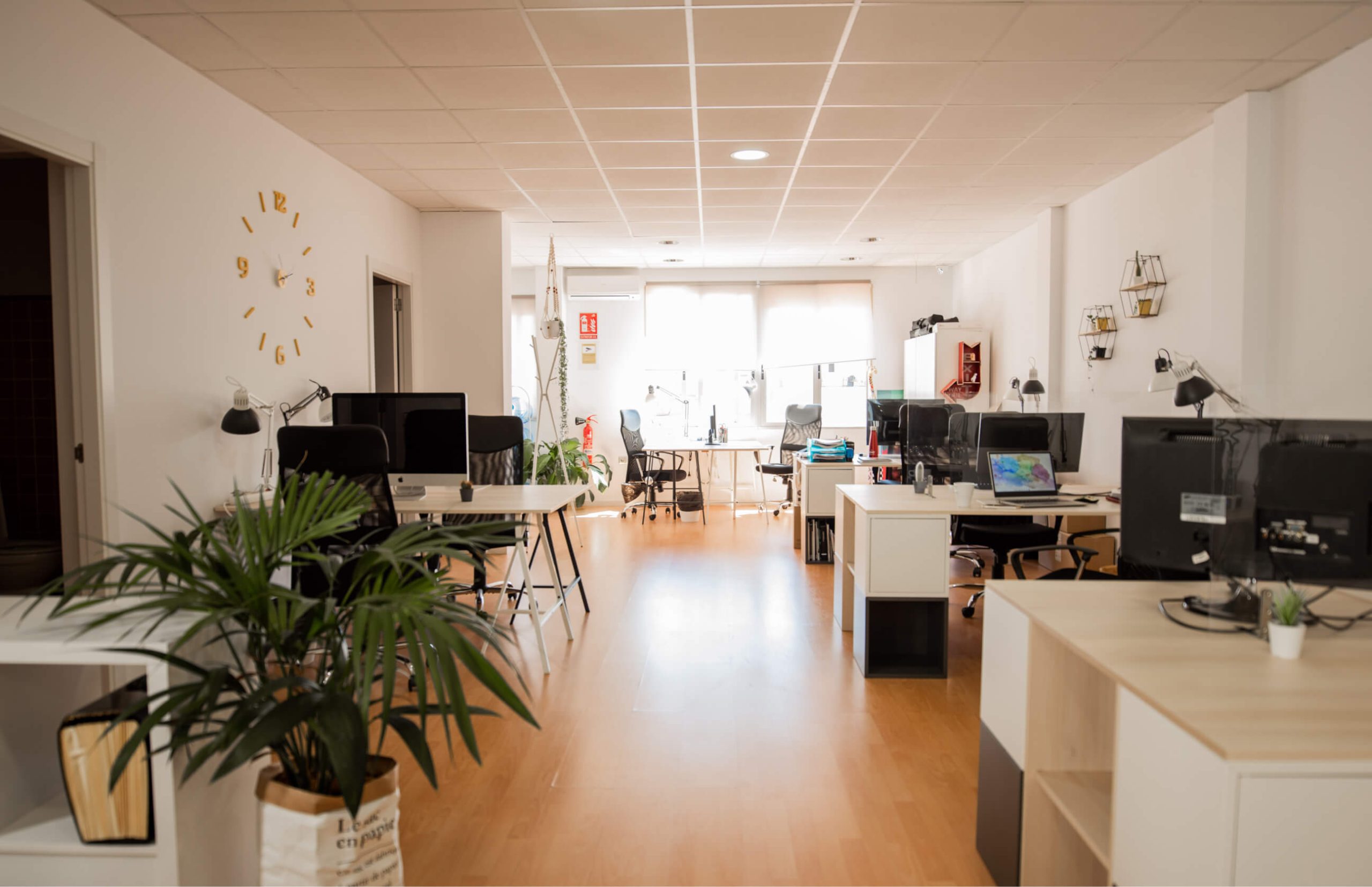 Coworking in Valencia center ▷ Llum