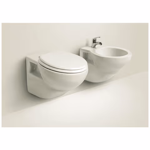 porcelain bowl - marine toilet