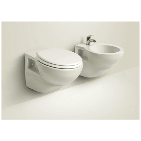 porcelain bowl - marine toilet