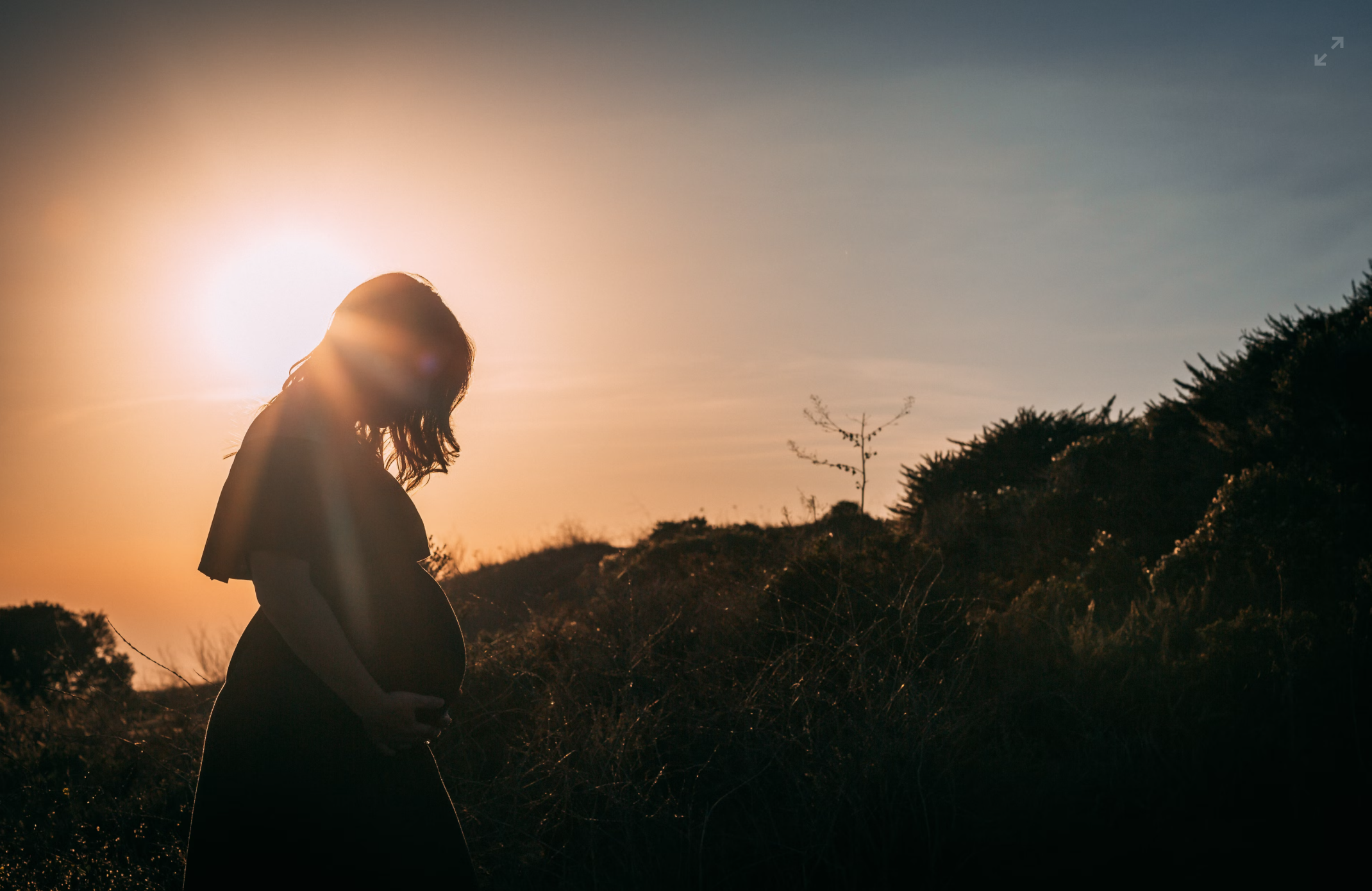 ⚖️ Legal Paternity Test [$600 + tax and fees]