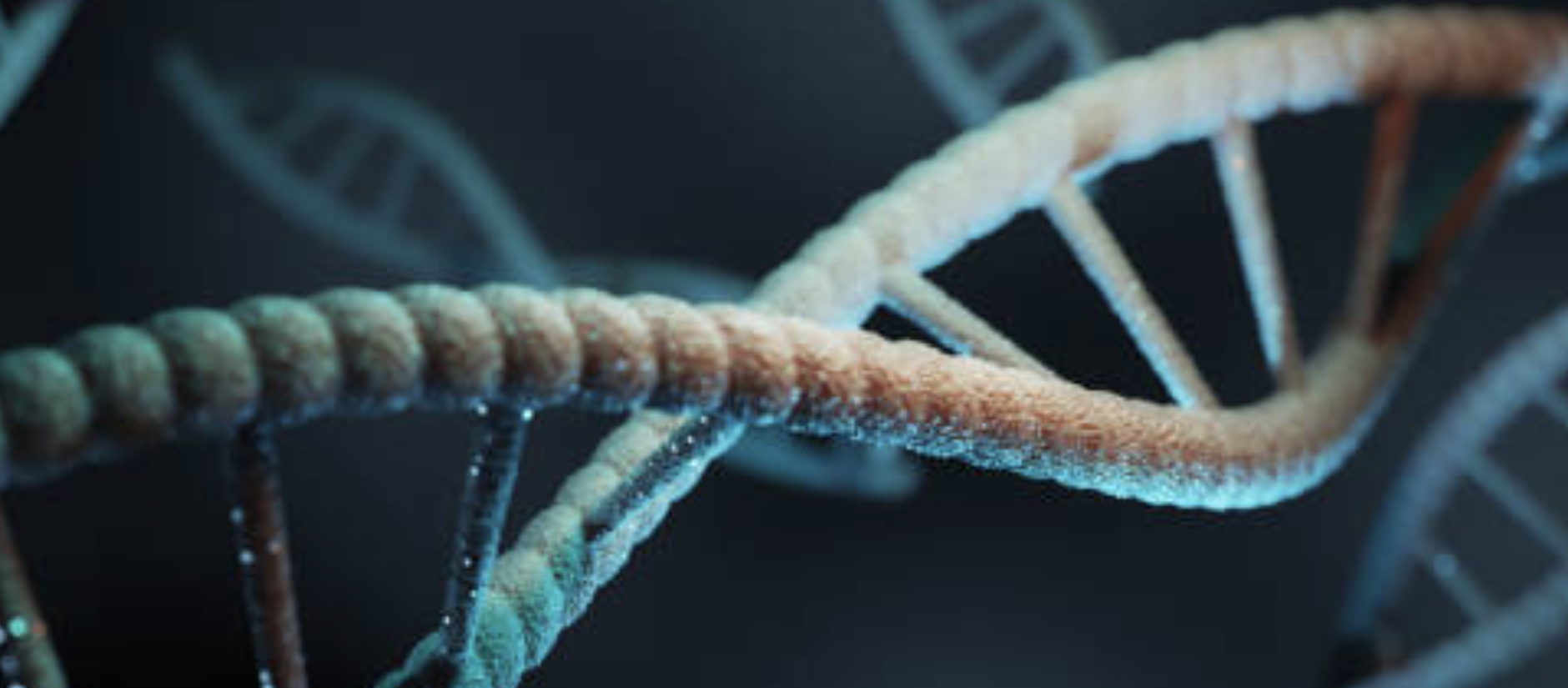 🕊️ Postmortem DNA Testing – Schedule Call for Consultation [Price Can Vary + tax and fees]