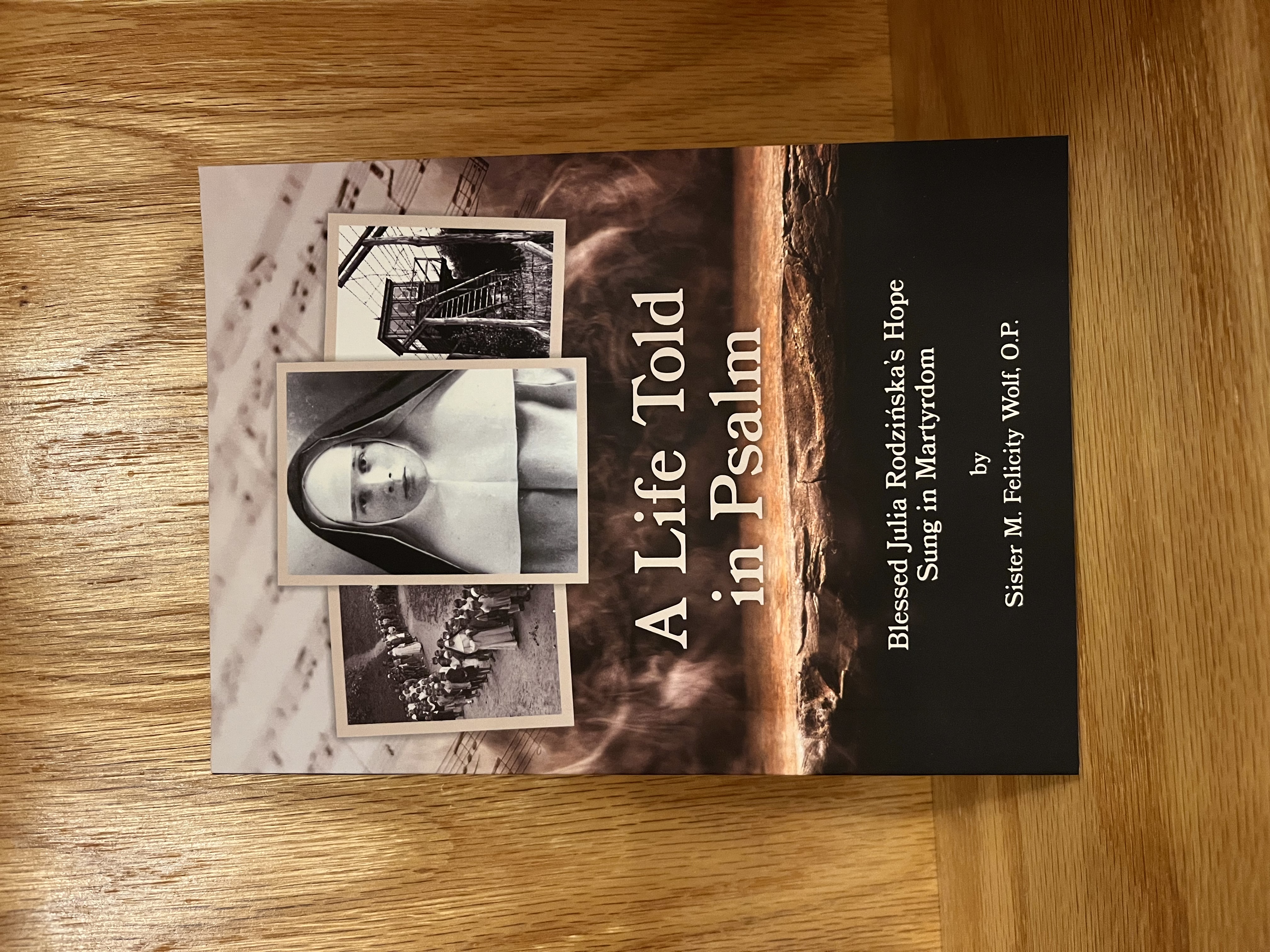 image of the book a life told in Psalm