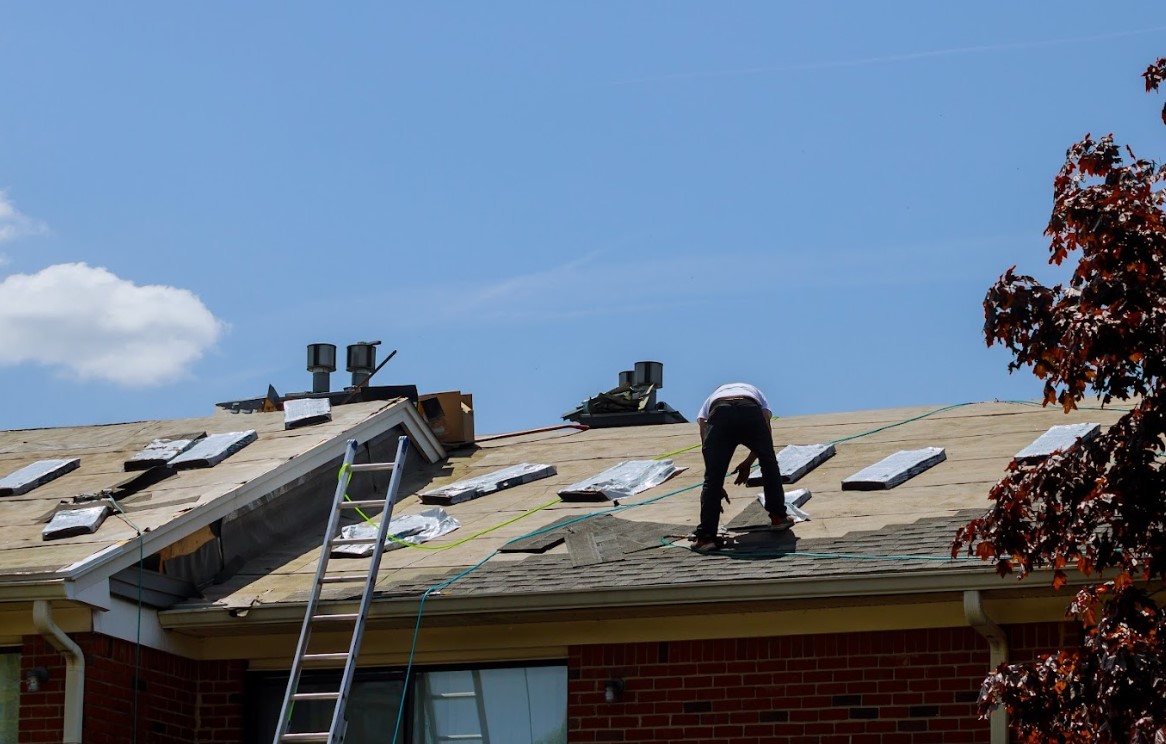 roof repair services in Level Plains, AL