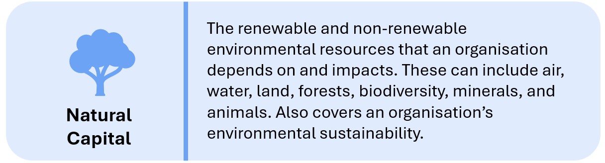 Natural Capital
The renewable and non-renewable environmental resources that an organisation depends on and impacts. These can include air, water, land, forests, biodiversity, minerals, and animals. Also covers an organisation’s environmental sustainability.
