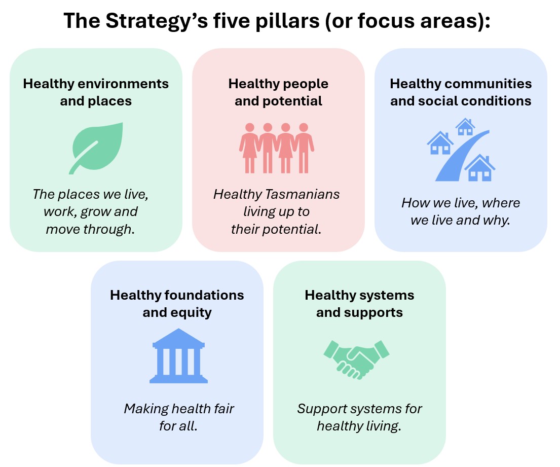 The Strategy's five pillars (or focus areas):
Healthy environments and places - the places we live, work, grow and move through

Healthy people and potential - healthy Tasmanians living up to their potential

Healthy communities and social conditions - how we live, where we live and why

Healthy foundations and equity - Making health fair for all

Healthy systems and supports - support systems for healthy living