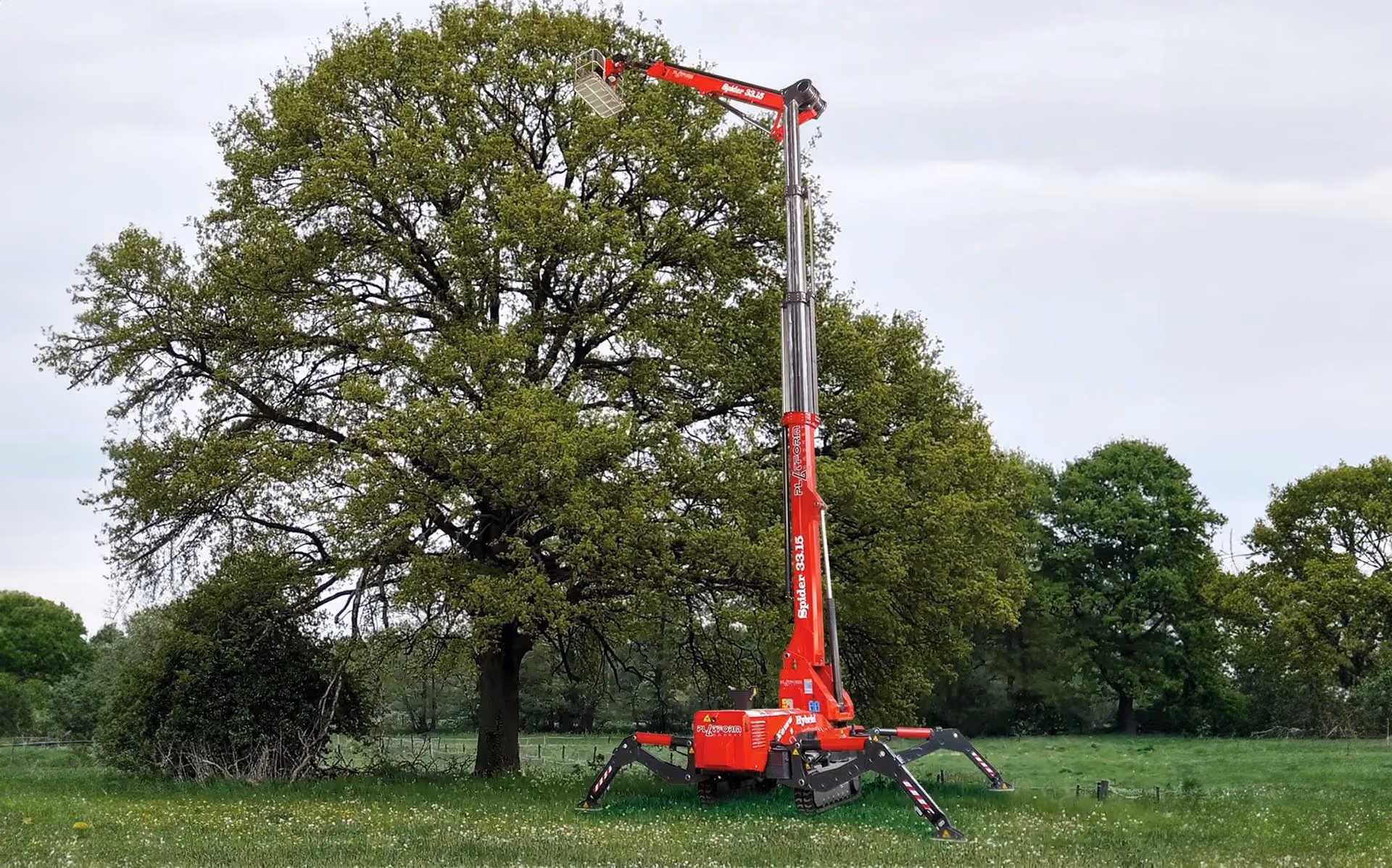 Red Spider 33.16 lift machine extended near a large leafy tree in a grassy field.