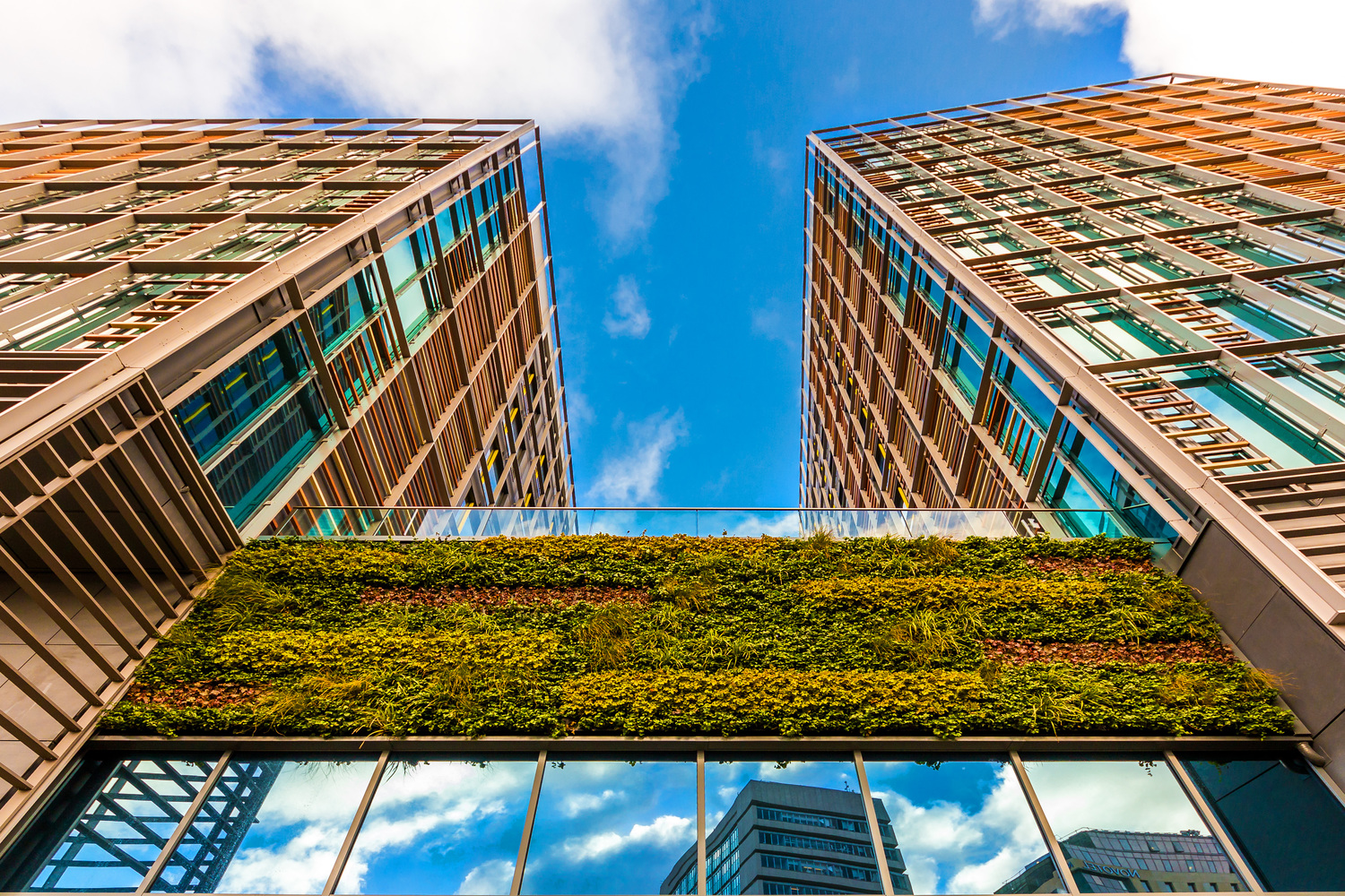 Two tall buildings with windows and a green wall.