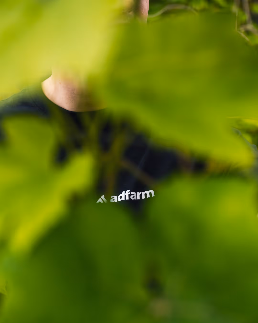leadinfo partner adfarm
