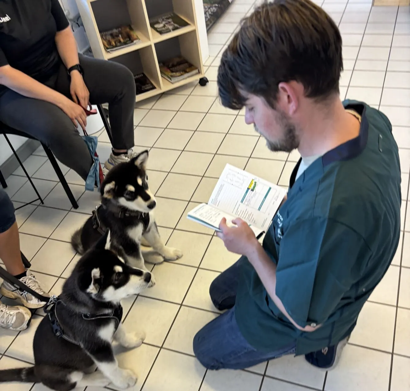 Dronninglund Dyreklinik.Dyrlæge Christopher giver et kuld hvalpe deres pas efter vaccination og chipmærkning