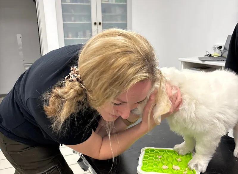 Dyrlæge Mia på Dronninglund Dyreklinik krammer en golden retriever hvalp der er til hvalpetjek