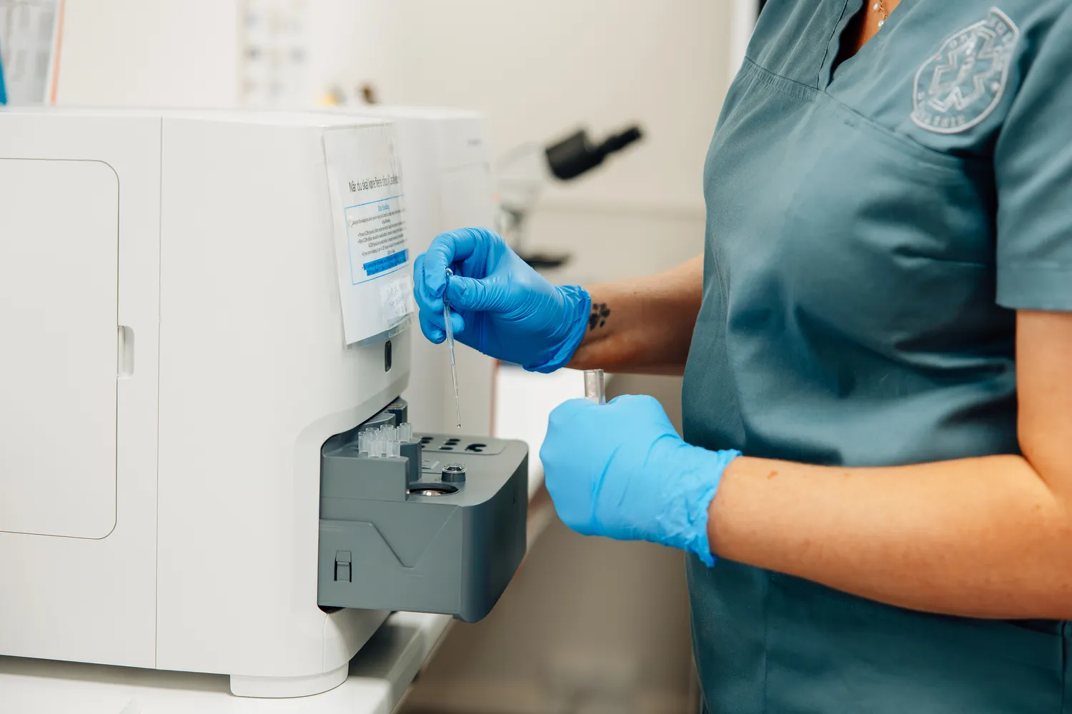 Ida undersøger prøver i laboratoriet i Dronninglund Dyreklinik