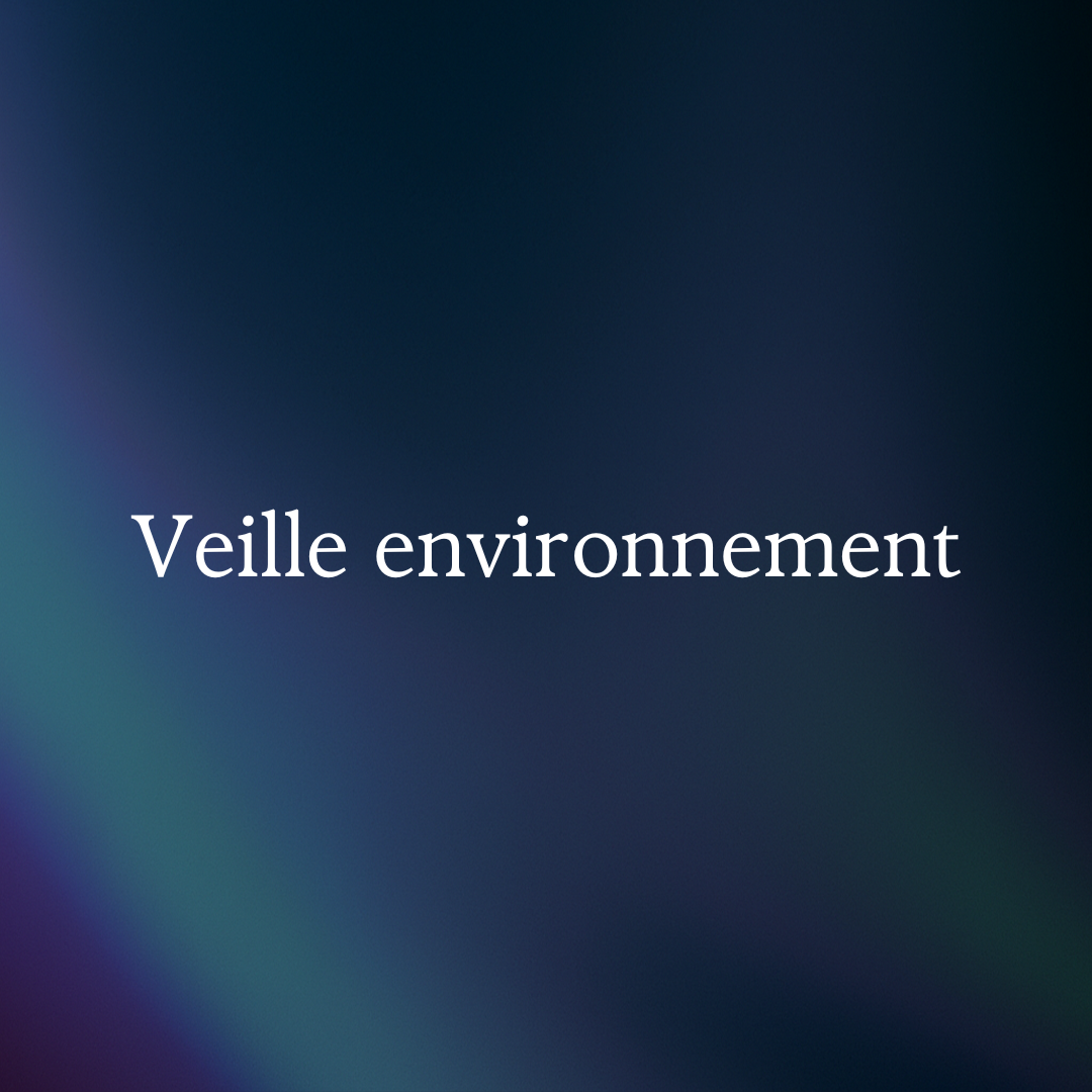 Illustration accompagnant l'article "Veille numérique : comment optimiser votre stratégie d'information en 2025"