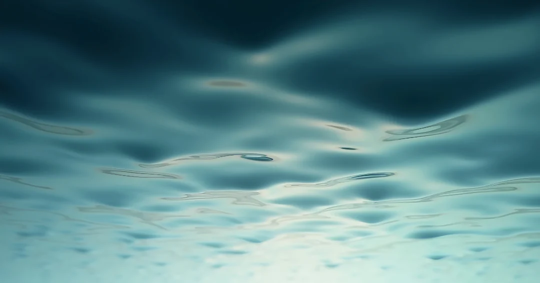 Enerjarden Movement Header Image green grass waves