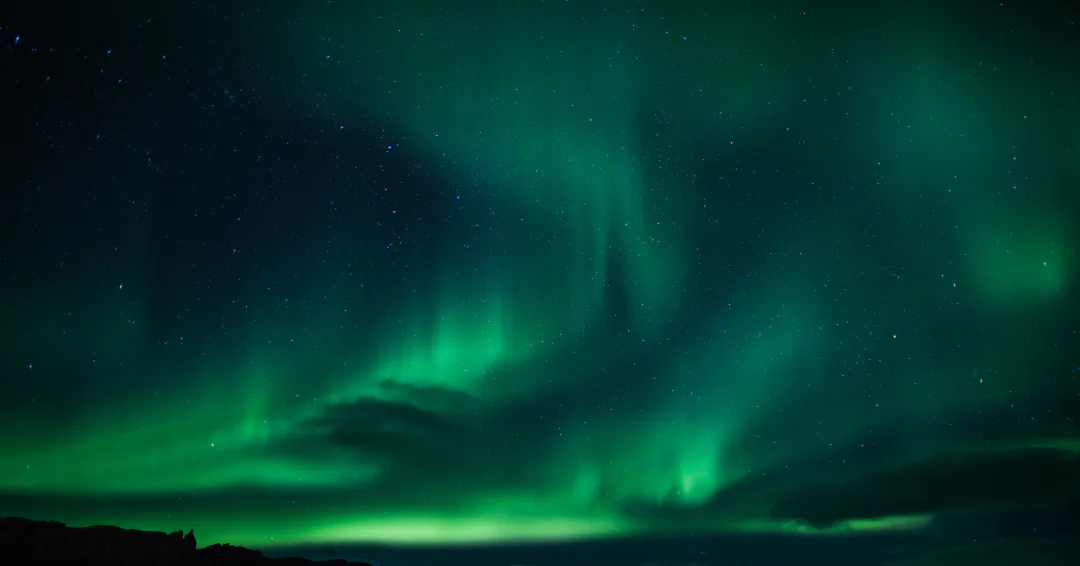 Enerjarden Movement Header Image green grass waves