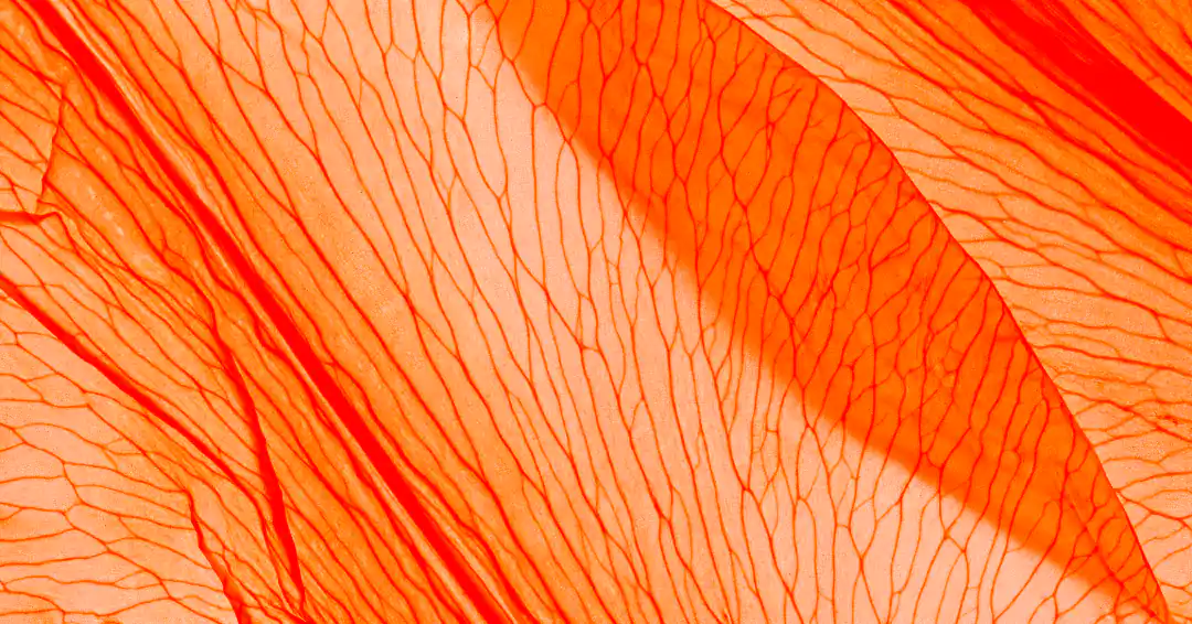 Enerjarden Movement Header Image green grass waves