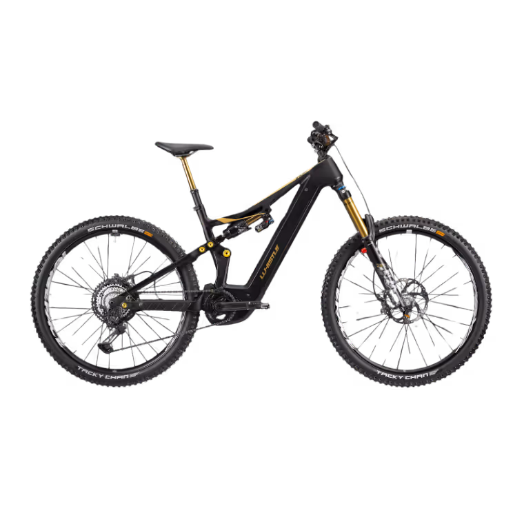 Whistle Bikes B-Rush C13.6 full-carbon e-enduro mountain bike with Bosch Performance CX Race, precision technology and innovative design