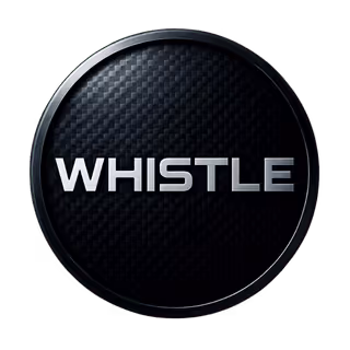 Whistle Bikes precision performance logo embodying innovation and design