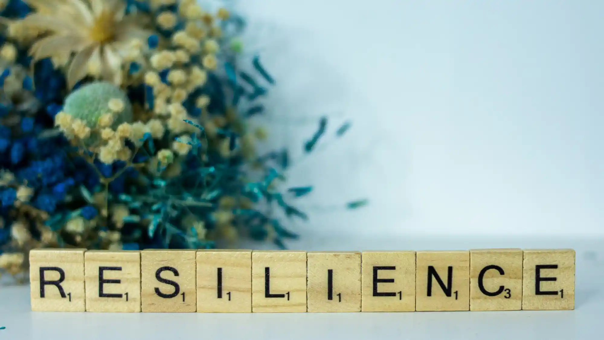 individual blog main image 