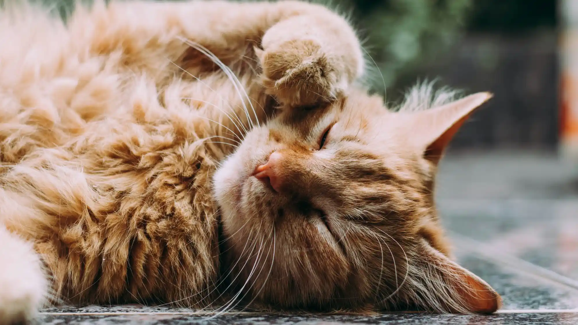 individual blog main image