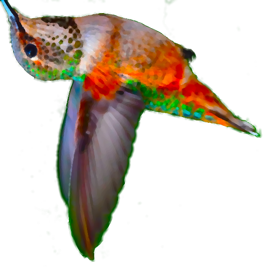 Adobe Illustrator app icon