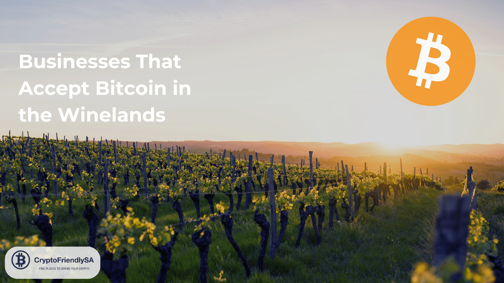Where to Spend Bitcoin in the Winelands