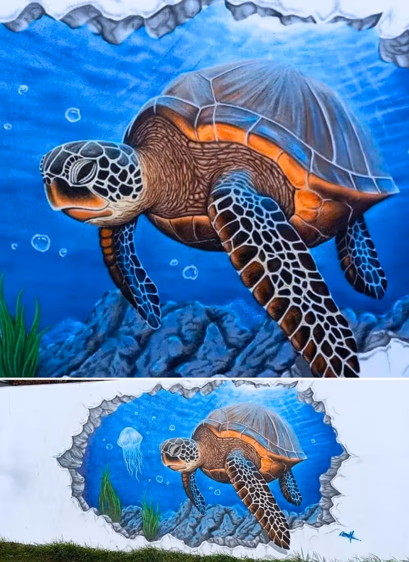Fresque murale extérieur tortue aquarium qui sort du mur - L'Atelier Mural