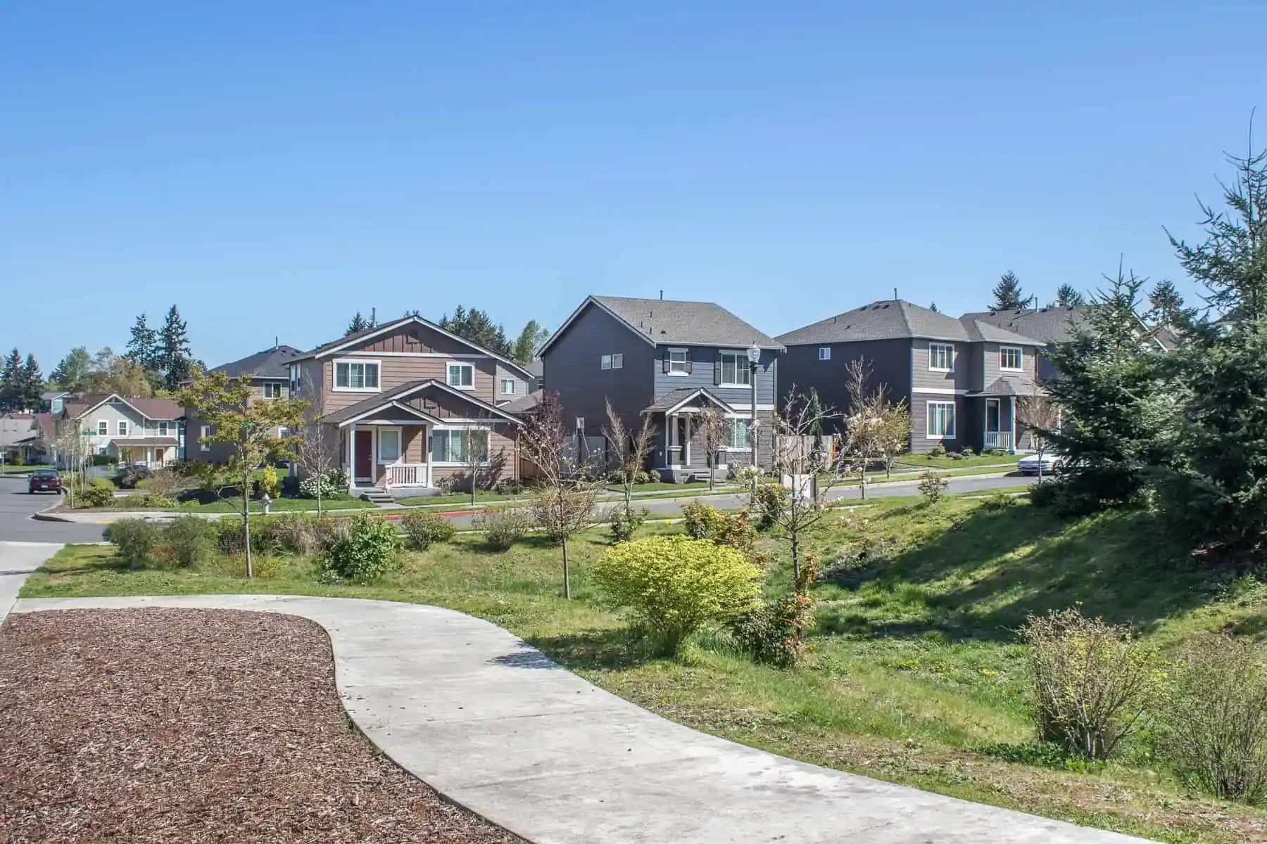 A Fife, WA neighborhood on a sunny summer day.
