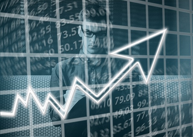 Investment De-risking Mechanisms and Guarantees: 