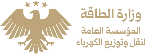 Public Establishment for Transmission and Distribution of Electricity